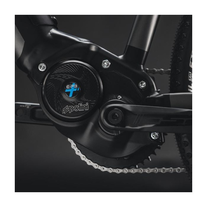 558419_3_23052023102823