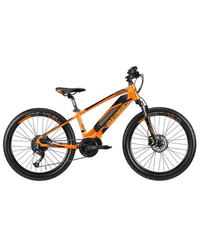 Atala Crab orange 24 pollici