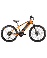 Atala Crab orange 24 pollici