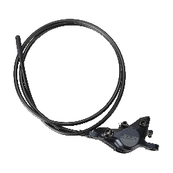 169106_15680210761182