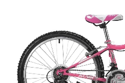 Atala-Butterfly-fuhsia-3