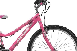 Atala-Butterfly-fuhsia-2