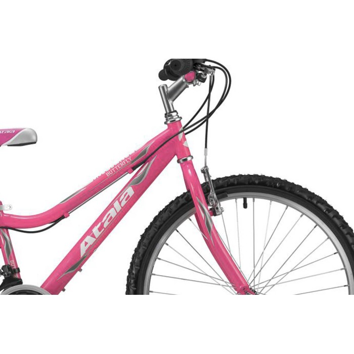 Atala-Butterfly-fuhsia-2