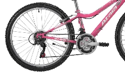 Atala-Butterfly-fuhsia-4